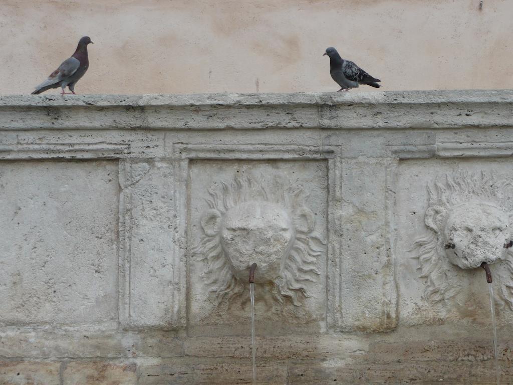 Villa Rosy Ασίζη Εξωτερικό φωτογραφία