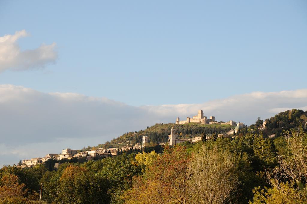 Villa Rosy Ασίζη Εξωτερικό φωτογραφία