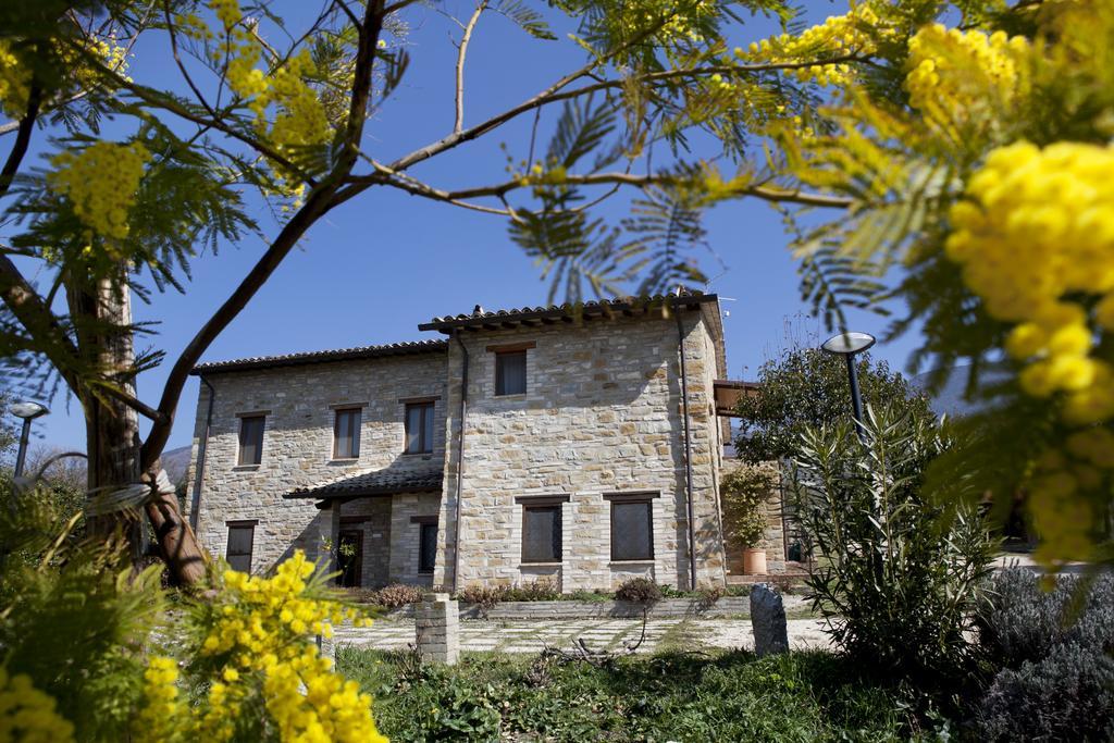 Villa Rosy Ασίζη Εξωτερικό φωτογραφία
