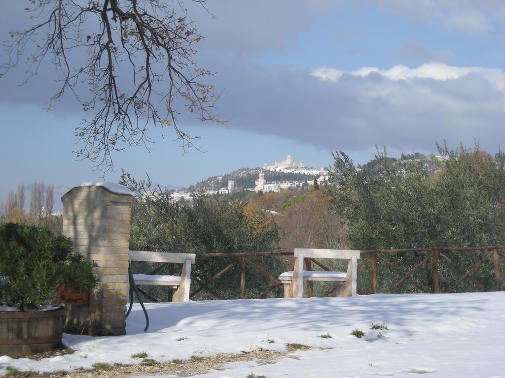 Villa Rosy Ασίζη Εξωτερικό φωτογραφία